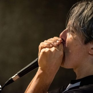 alt="Curso online de armónica práctica en afinaciones A y C"