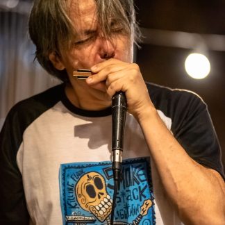 Gonzalo Araya impartiendo clases de armónica online personalizadas en vivo