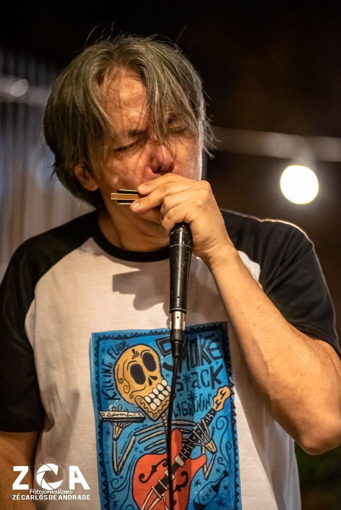 Gonzalo Araya impartiendo clases de armónica online personalizadas en vivo