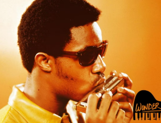 Stevie wonder blowing the harmonica